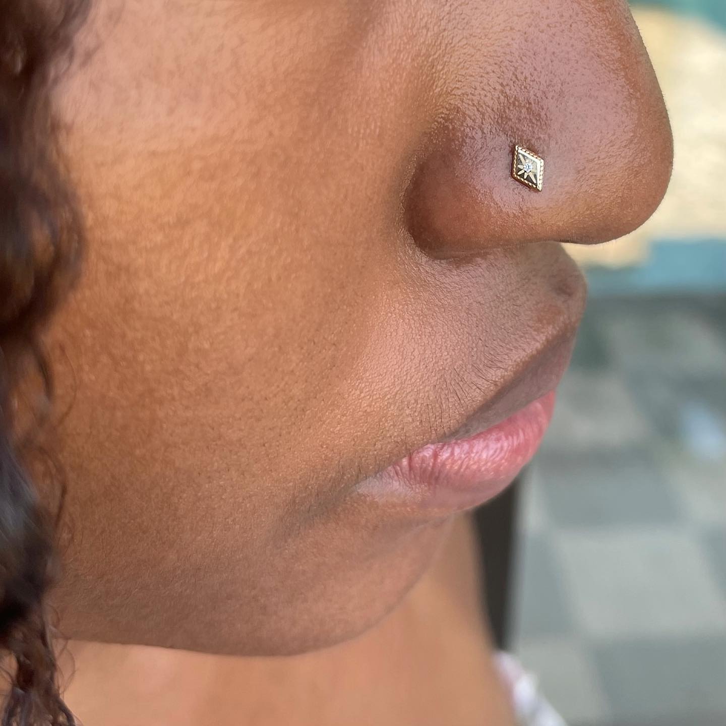 Nostril Jewelry - Studs